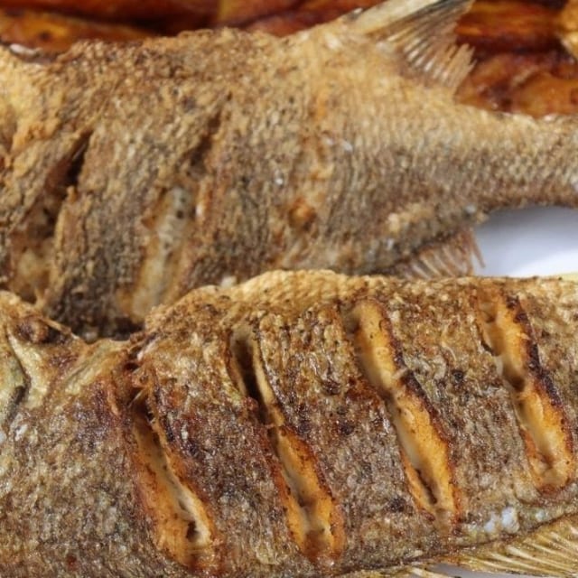 FISH.